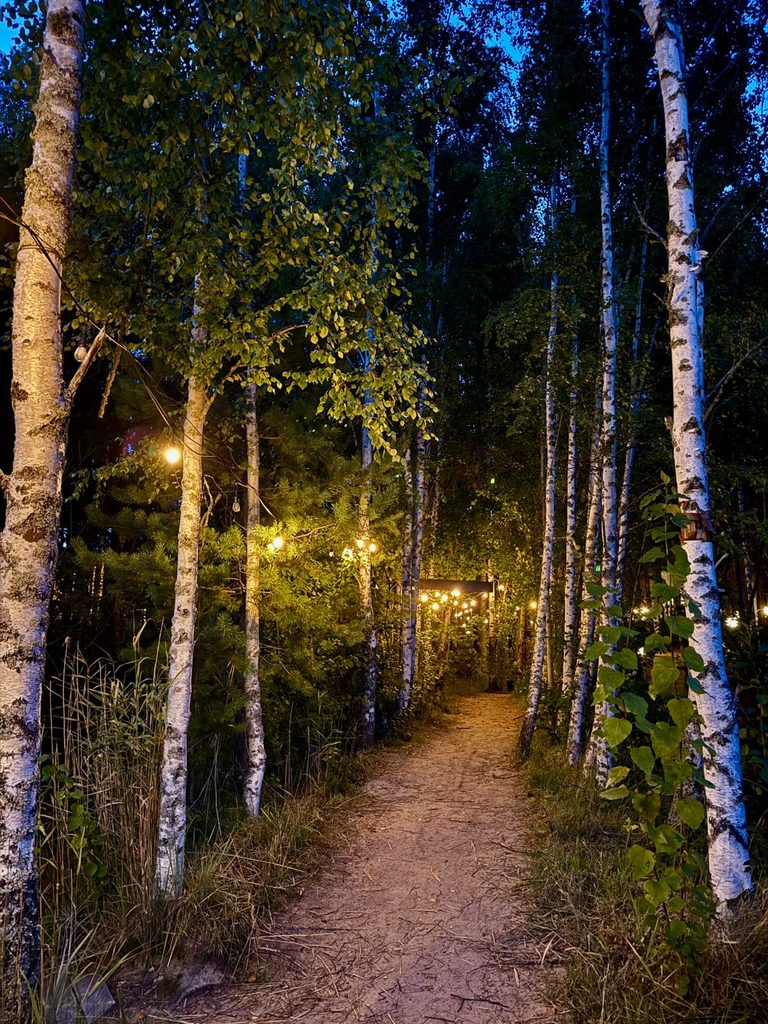 Лосевские березы